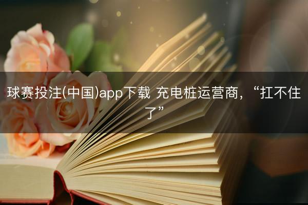 球赛投注(中国)app下载 充电桩运营商，“扛不住了”