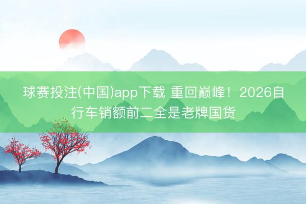 球赛投注(中国)app下载 重回巅峰！2026自行车销额前二全是老牌国货