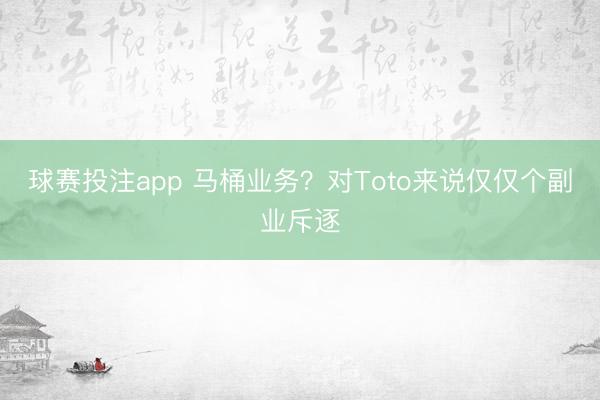 球赛投注app 马桶业务？对Toto来说仅仅个副业斥逐