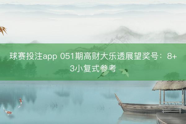 球赛投注app 051期高财大乐透展望奖号：8+3小复式参考