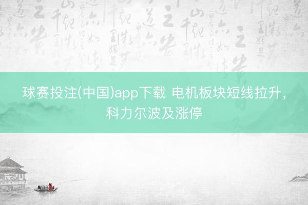 球赛投注(中国)app下载 电机板块短线拉升，科力尔波及涨停