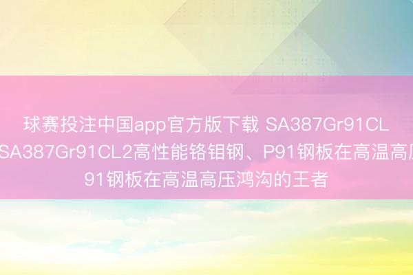 球赛投注中国app官方版下载 SA387Gr91CL2钢板先容、SA387Gr91CL2高性能铬钼钢、P91钢板在高温高压鸿沟的王者