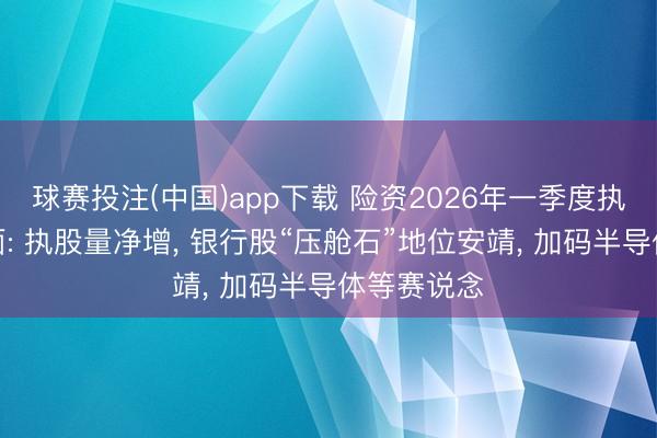 球赛投注(中国)app下载 险资2026年一季度执仓浮出水面: 执股量净增， 银行股“压舱石”地位安靖， 加码半导体等赛说念