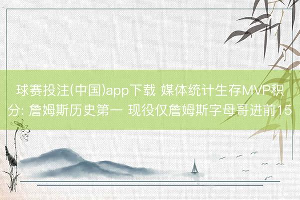 球赛投注(中国)app下载 媒体统计生存MVP积分: 詹姆斯历史第一 现役仅詹姆斯字母哥进前15