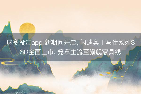 球赛投注app 新期间开启， 闪迪奥丁马仕系列SSD全面上市， 笼罩主流至旗舰家具线