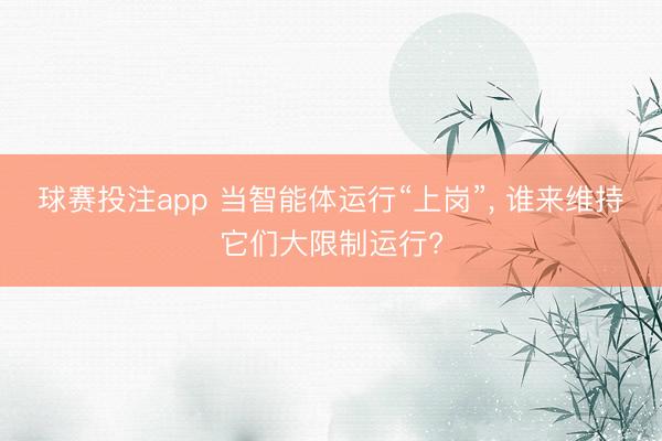 球赛投注app 当智能体运行“上岗”， 谁来维持它们大限制运行?