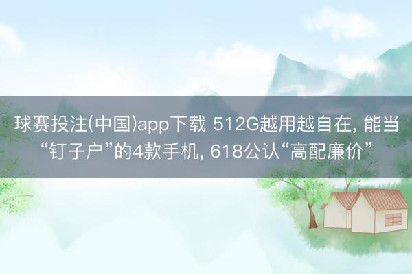 球赛投注(中国)app下载 512G越用越自在， 能当“钉子户”的4款手机， 618公认“高配廉价”