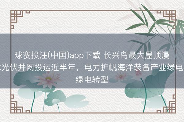 球赛投注(中国)app下载 长兴岛最大屋顶漫步式光伏并网投运近半年，电力护帆海洋装备产业绿电转型