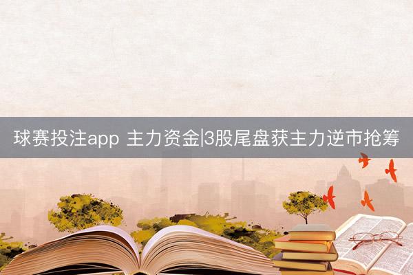 球赛投注app 主力资金|3股尾盘获主力逆市抢筹