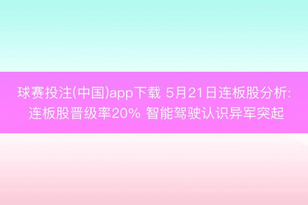 球赛投注(中国)app下载 5月21日连板股分析: 连板股晋级率20% 智能驾驶认识异军突起