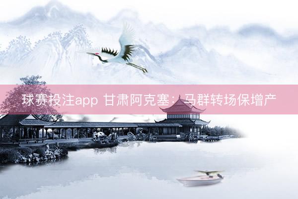 球赛投注app 甘肃阿克塞：马群转场保增产