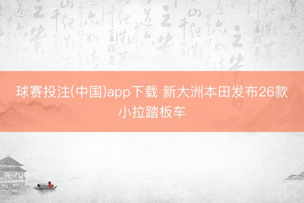 球赛投注(中国)app下载 新大洲本田发布26款小拉踏板车