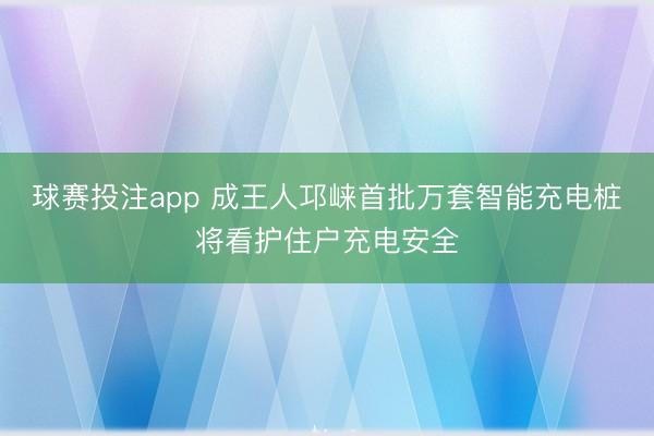 球赛投注app 成王人邛崃首批万套智能充电桩将看护住户充电安全