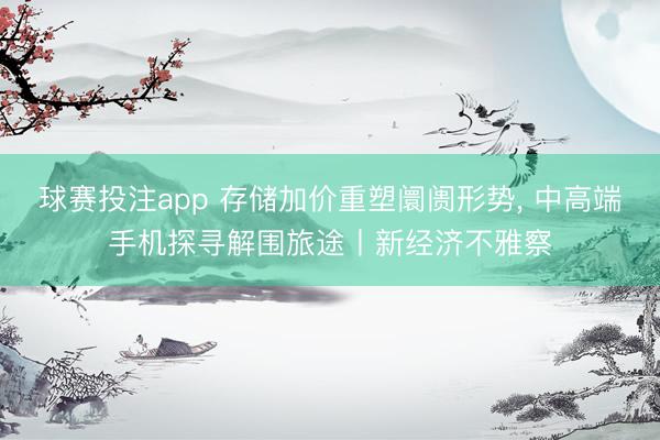 球赛投注app 存储加价重塑阛阓形势， 中高端手机探寻解围旅途丨新经济不雅察
