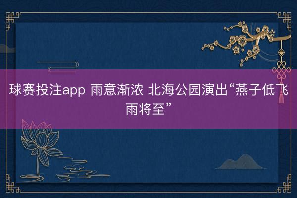 球赛投注app 雨意渐浓 北海公园演出“燕子低飞雨将至”