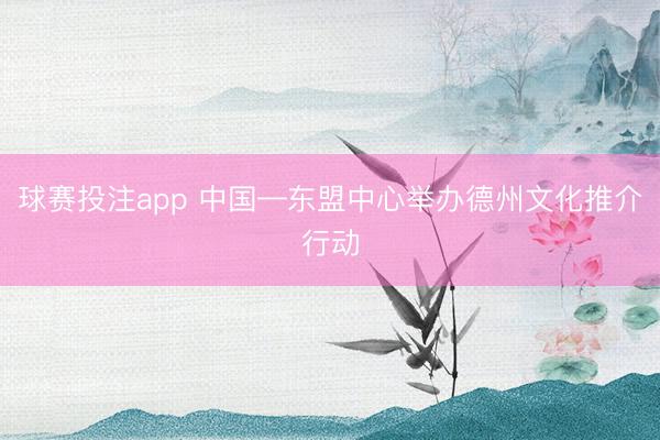 球赛投注app 中国—东盟中心举办德州文化推介行动