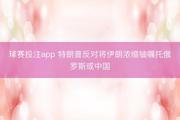 球赛投注app 特朗普反对将伊朗浓缩铀嘱托俄罗斯或中国