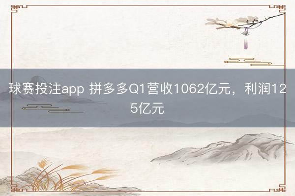 球赛投注app 拼多多Q1营收1062亿元，利润125亿元