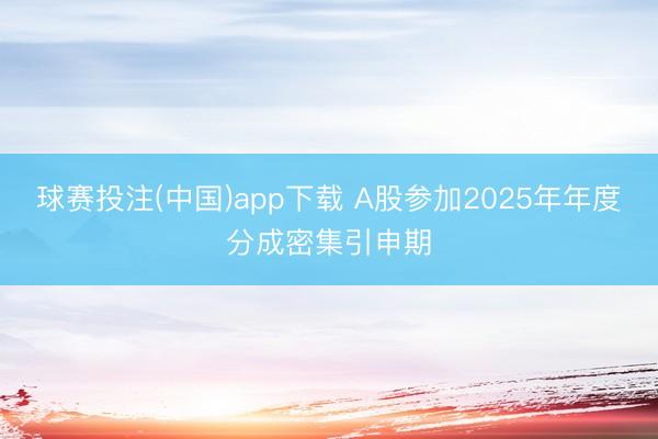 球赛投注(中国)app下载 A股参加2025年年度分成密集引申期