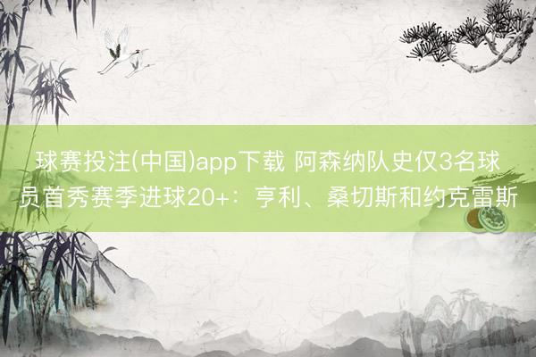 球赛投注(中国)app下载 阿森纳队史仅3名球员首秀赛季进球20+：亨利、桑切斯和约克雷斯