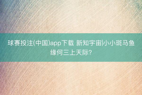 球赛投注(中国)app下载 新知宇宙|小小斑马鱼缘何三上天际?