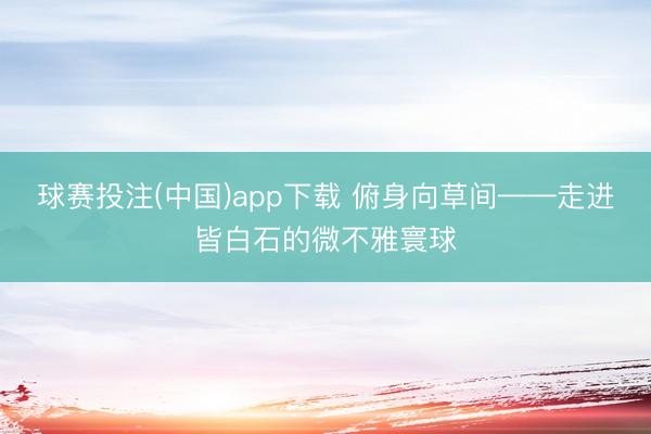 球赛投注(中国)app下载 俯身向草间——走进皆白石的微不雅寰球