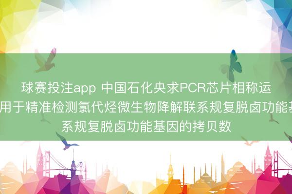 球赛投注app 中国石化央求PCR芯片相称运用专利， 大略用于精准检测氯代烃微生物降解联系规复脱卤功能基因的拷贝数