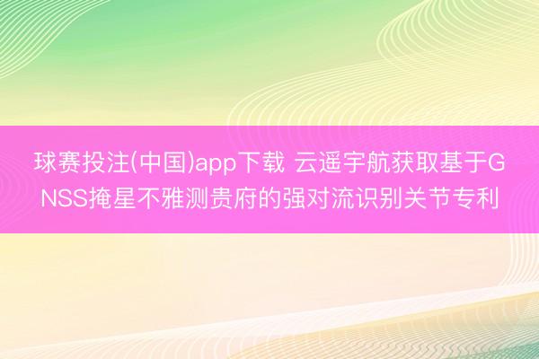 球赛投注(中国)app下载 云遥宇航获取基于GNSS掩星不雅测贵府的强对流识别关节专利