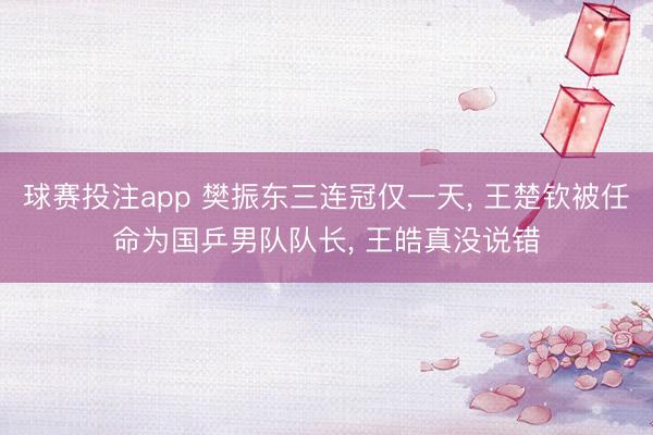球赛投注app 樊振东三连冠仅一天， 王楚钦被任命为国乒男队队长， 王皓真没说错
