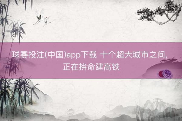 球赛投注(中国)app下载 十个超大城市之间， 正在拚命建高铁