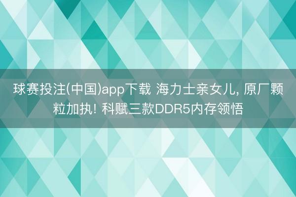 球赛投注(中国)app下载 海力士亲女儿， 原厂颗粒加执! 科赋三款DDR5内存领悟