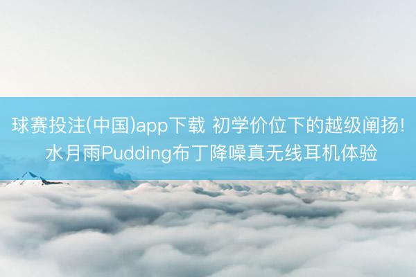 球赛投注(中国)app下载 初学价位下的越级阐扬! 水月雨Pudding布丁降噪真无线耳机体验