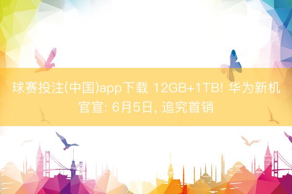 球赛投注(中国)app下载 12GB+1TB! 华为新机官宣: 6月5日， 追究首销