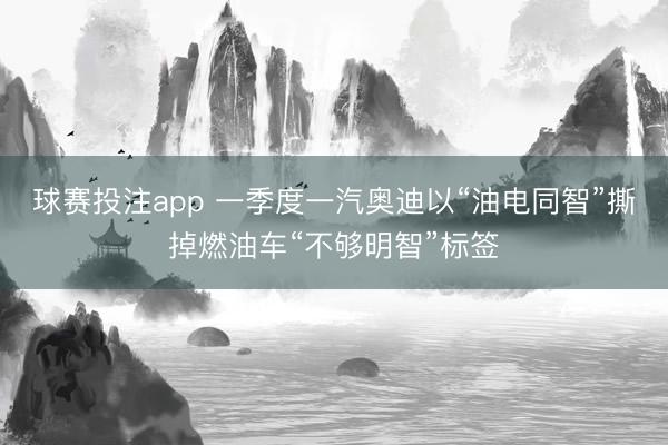 球赛投注app 一季度一汽奥迪以“油电同智”撕掉燃油车“不够明智”标签