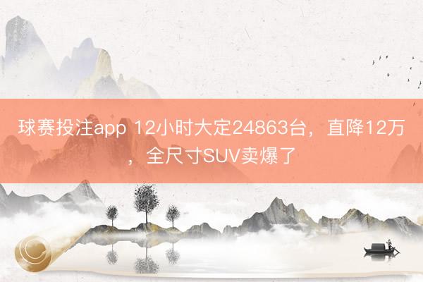 球赛投注app 12小时大定24863台，直降12万，全尺寸SUV卖爆了