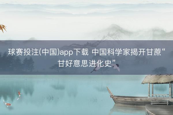 球赛投注(中国)app下载 中国科学家揭开甘蔗“甘好意思进化史”