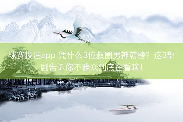 球赛投注app 凭什么3位叔圈男神霸榜？这3部剧告诉你不雅众到底在看啥！