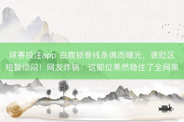 球赛投注app 白鹿锁骨线条偶而曝光，褒贬区短暂烦闷！网友炸锅：这部位果然稳住了全网黑