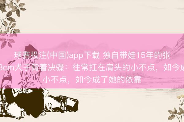球赛投注(中国)app下载 独自带娃15年的张柏芝，被183cm犬子背着决骤：往常扛在肩头的小不点，如今成了她的依靠