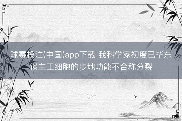 球赛投注(中国)app下载 我科学家初度已毕东谈主工细胞的步地功能不合称分裂