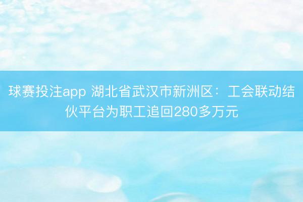 球赛投注app 湖北省武汉市新洲区：工会联动结伙平台为职工追回280多万元