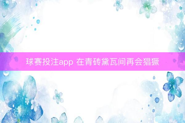 球赛投注app 在青砖黛瓦间再会猖獗