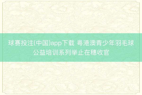 球赛投注(中国)app下载 粤港澳青少年羽毛球公益培训系列举止在穗收官