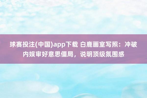 球赛投注(中国)app下载 白鹿画室写照：冲破内娱审好意思僵局，说明顶级氛围感