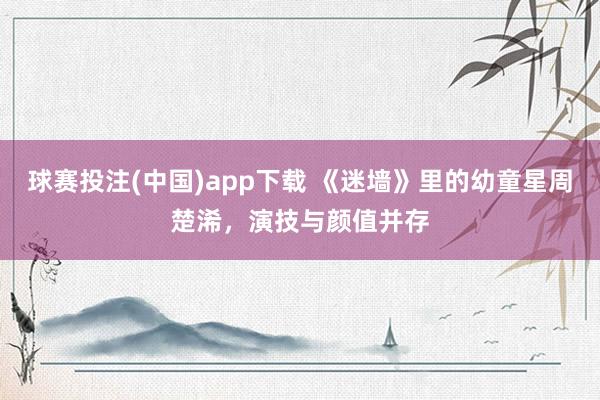 球赛投注(中国)app下载 《迷墙》里的幼童星周楚浠，演技与颜值并存