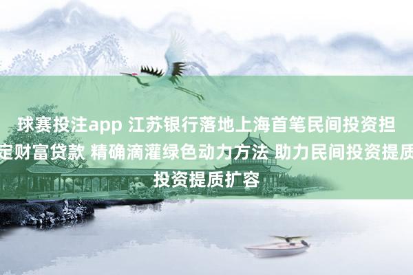 球赛投注app 江苏银行落地上海首笔民间投资担保固定财富贷款 精确滴灌绿色动力方法 助力民间投资提质扩容