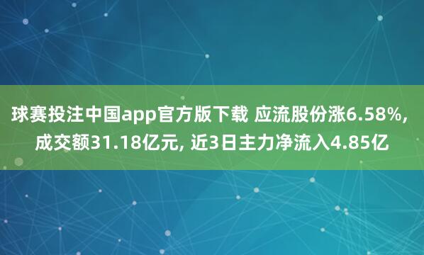 球赛投注中国app官方版下载 应流股份涨6.58%， 成交额31.18亿元， 近3日主力净流入4.85亿