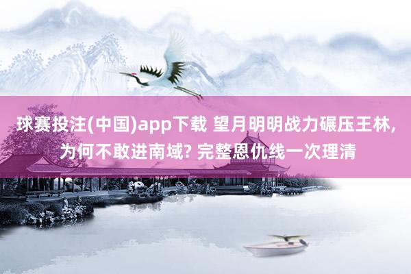 球赛投注(中国)app下载 望月明明战力碾压王林， 为何不敢进南域? 完整恩仇线一次理清