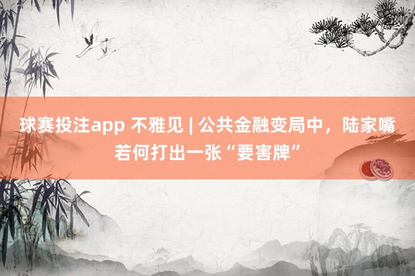 球赛投注app 不雅见 | 公共金融变局中,陆家嘴若何打出一张“要害牌”