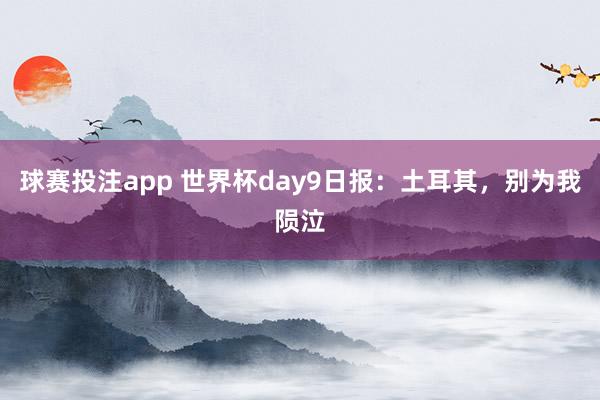 球赛投注app 世界杯day9日报：土耳其，别为我陨泣